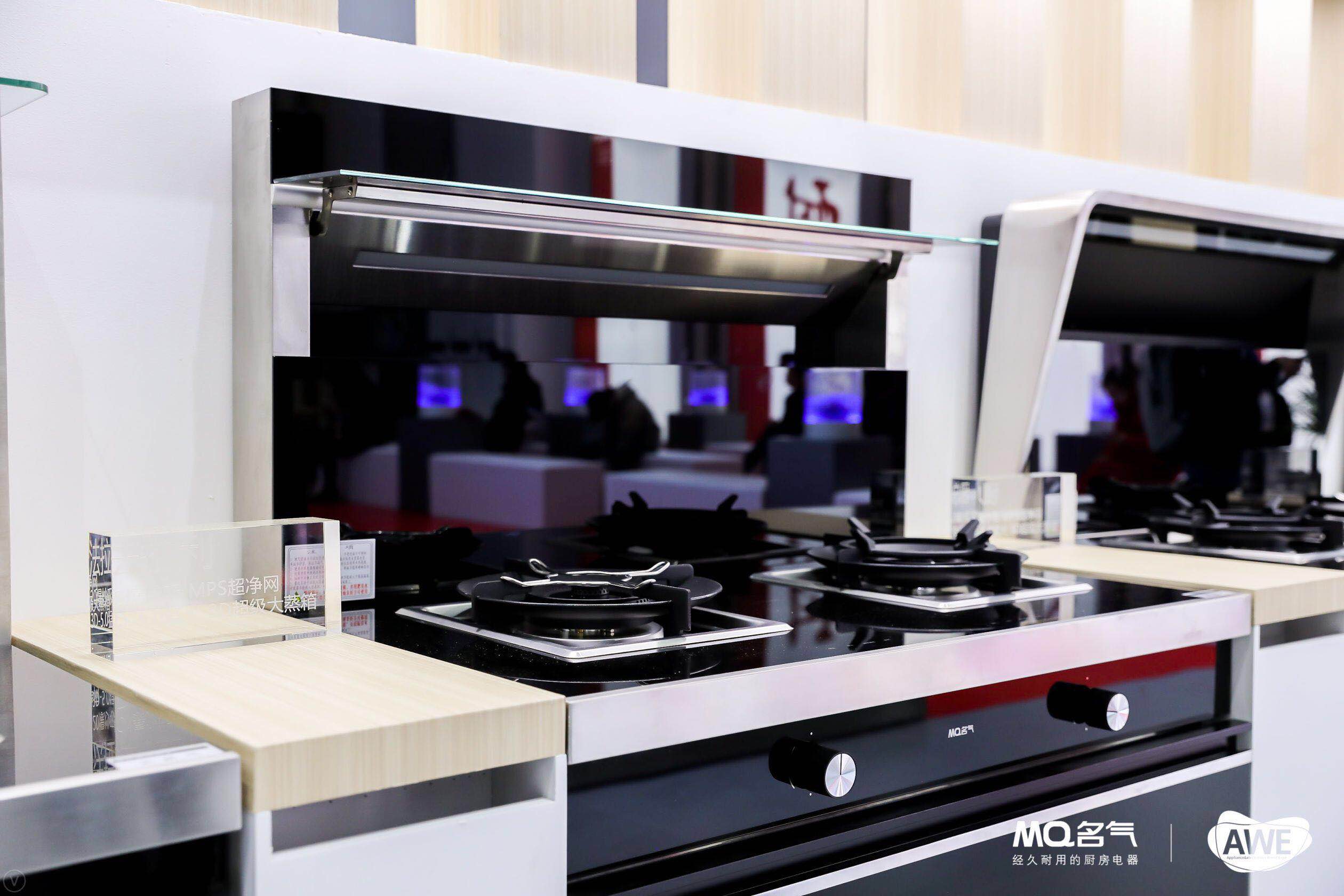 厨电十大排名_小厨娘十大特色菜图片(2)